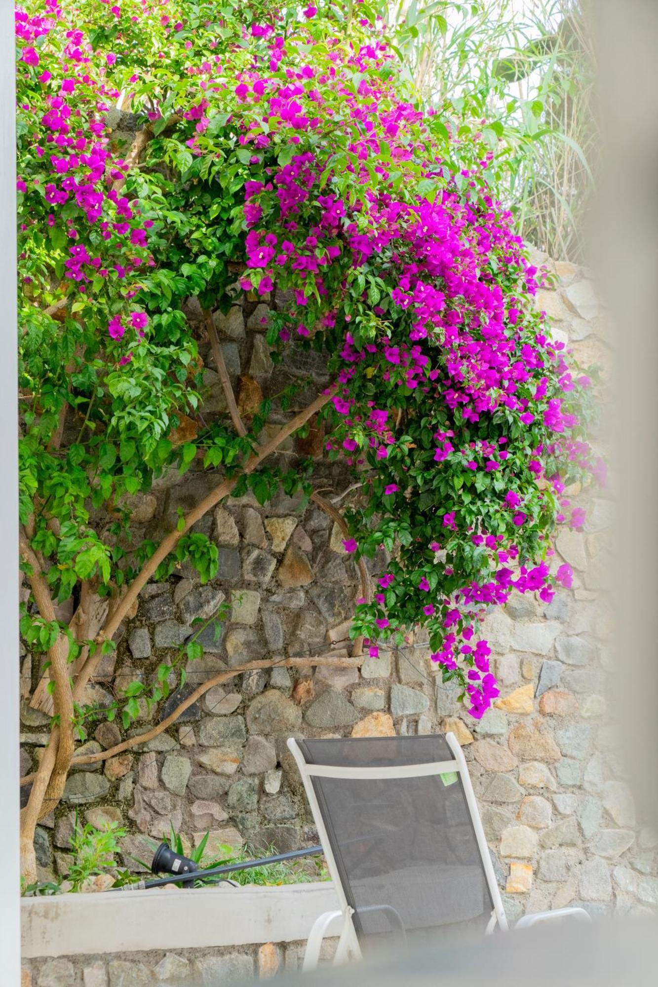 Acacia Bed and breakfast